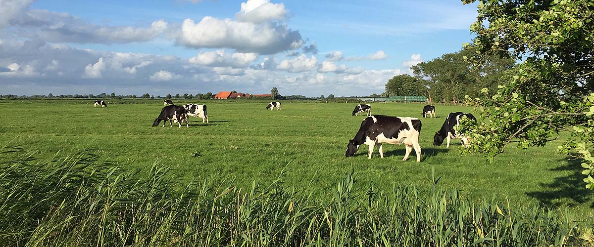 Urlaub in Ostfriesland an der Nordsee