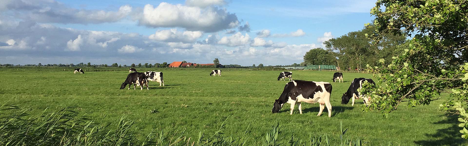 Urlaub in Ostfriesland an der Nordsee