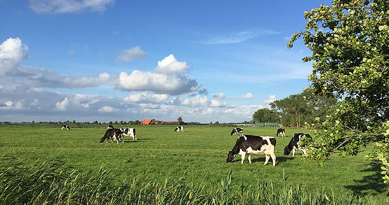 Urlaub in Ostfriesland an der Nordsee