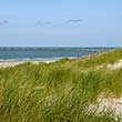 Langeoog am Strand